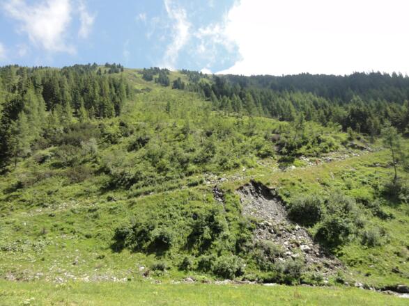 Almgebiet am Wildkogel