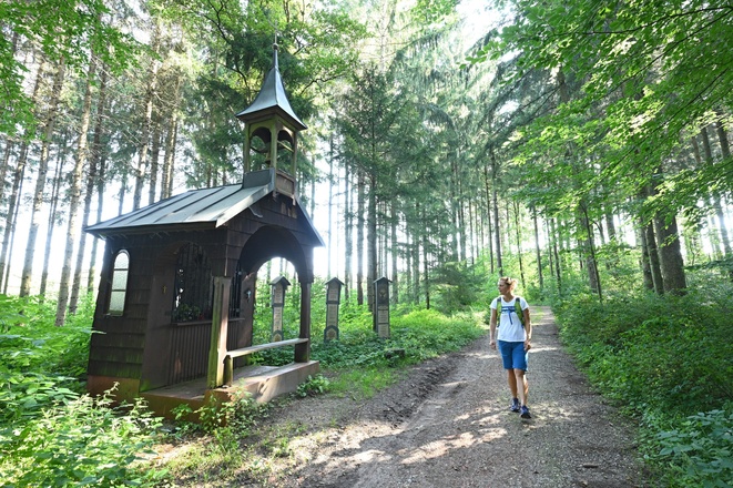 Wandern rund um die Furthmühle