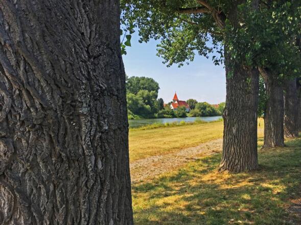 Maintalradweg