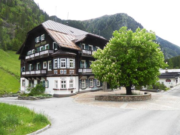 Der Grüne Baum