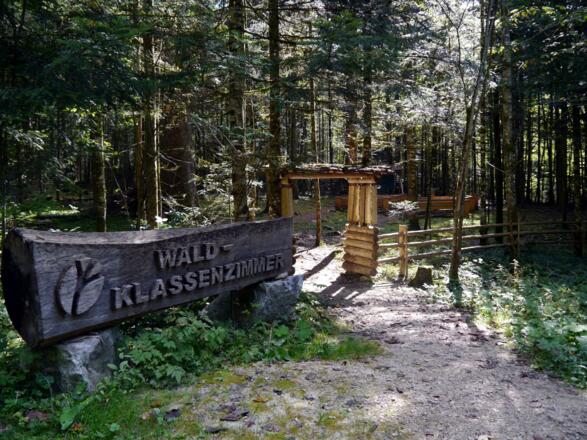Und schließlich auch zu einem Waldklassenzimmer!