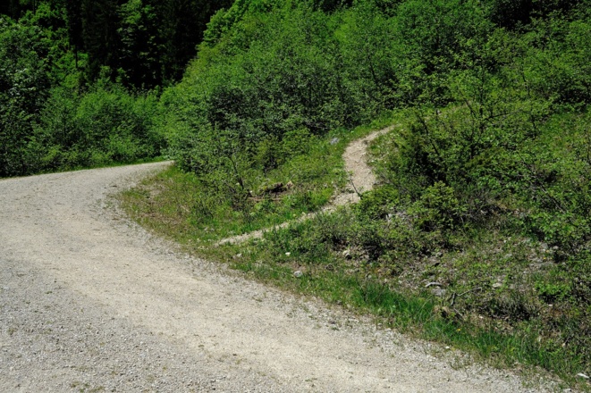 Einmündung auf die Forststraße
