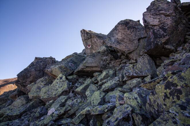 Teilweise ist leichte Kletterei nötig um die Blöcke zu übersteigen