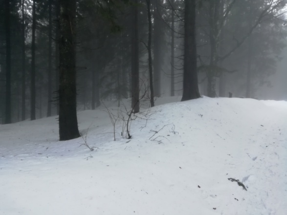 Gr. Schwedenschanze am Hauptmannsberg
