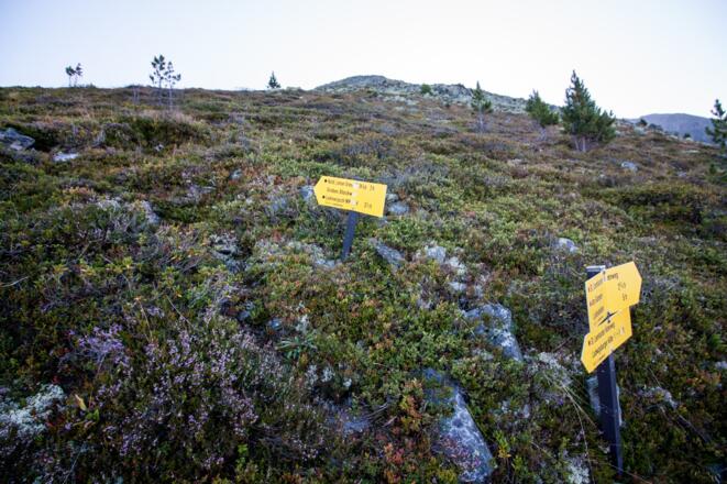 An der Kwegekreuzung links halten und Wegspuren folgen