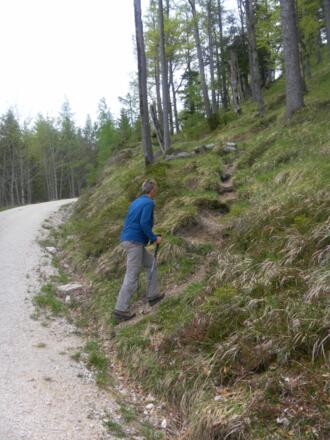 Abzweig zum Marienköpfl