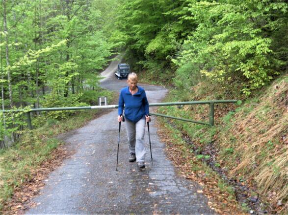 Abzweig vom Eibenseeweg