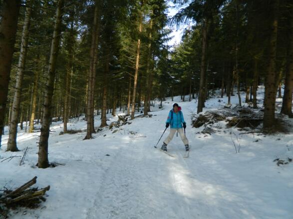 Abfahrt kurz durch den Wald
