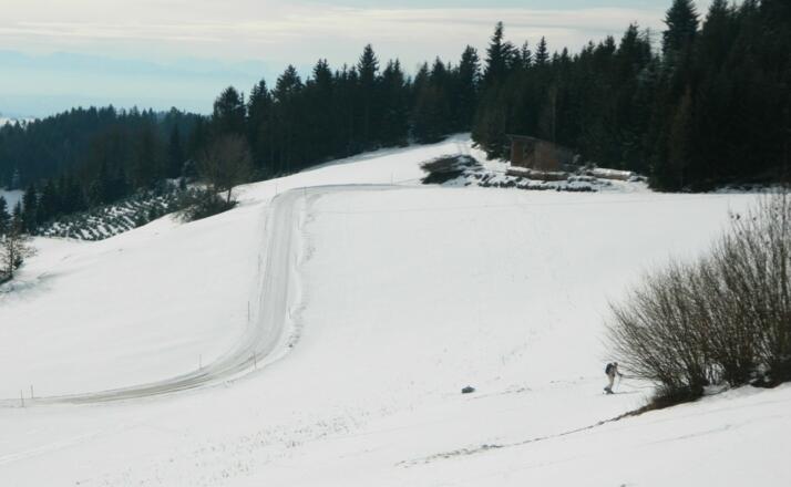die Wiesen des Hochbuchbergs