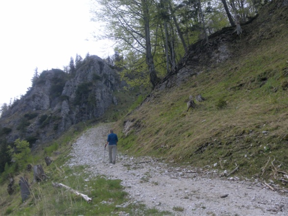 weglose Mulde am Ende des Forstwegs