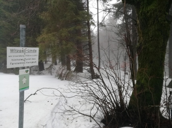 Gipfel Ursersberg
