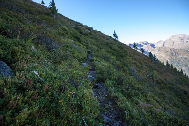 gesäumt von Heidelbeeren geht's weiter