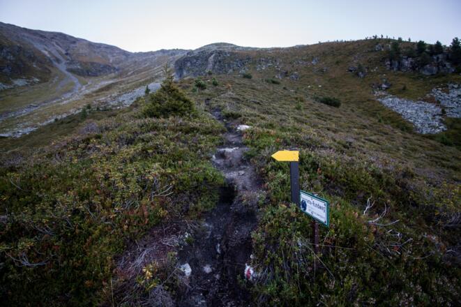 Der Weg ist anfangs sehr gut ausgeschildert.