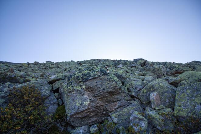 ...werden die Blöcke immer größer