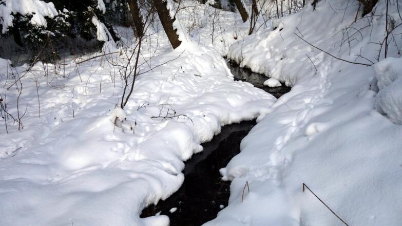 Bacherl zum Finstergrabenbach folgen, dann re. zum Güterweg