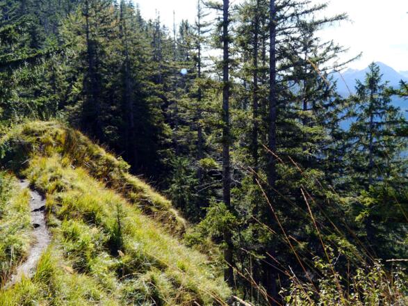 Auf einem schmalen Grat geht es weiter zum Grasleitenkopf