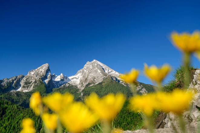Erste Reihe: Der Grünstein-Gipfel bietet eine unschlagbare Aussicht auf das Wahrzeichen des Berchtesgadener Landes, den Watzmann.
