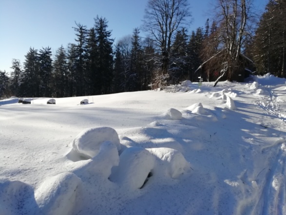 Winterliche Jägerhütte