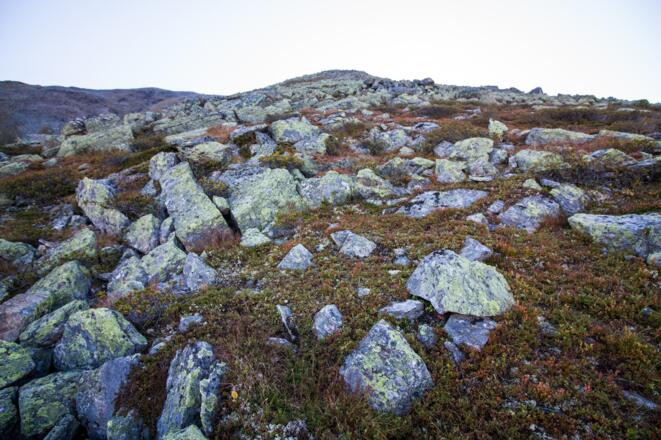 Anfangs klein und überschaubar...
