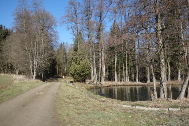 Der Weiher beim Wanderparkplatz