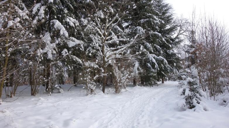 am Kamm 600m - 615m - 605m