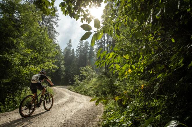 Über den Möserwald zum Goldenen Zweig