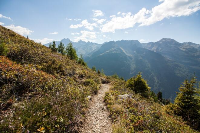 Allmählich wird es buschiger. Fahrweg mehrfach kreuzen und bald sind wir an der Hütte