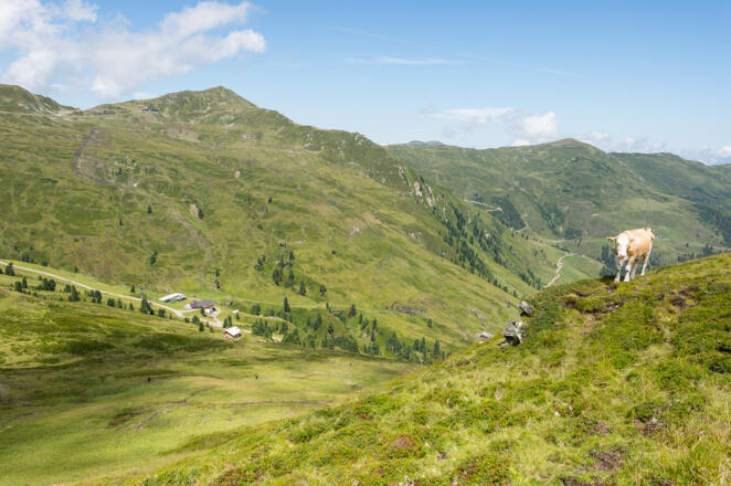 Almgebiet im Wildkogelgebiet