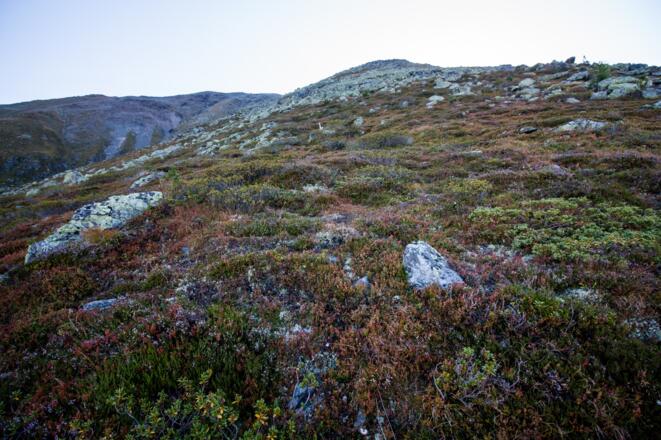 Weglos weiter zu  den Felsblöcken
