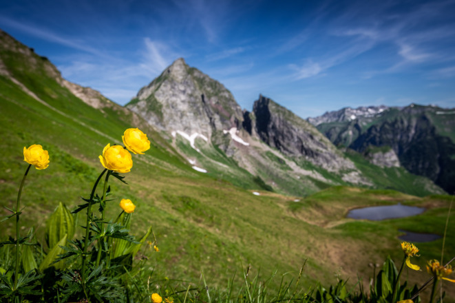 Nahe des Eissees, der Blick zur Höfats.