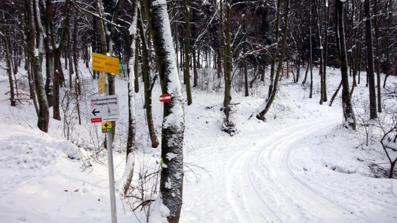 ~475m rechts ab Richtung Finstergraben