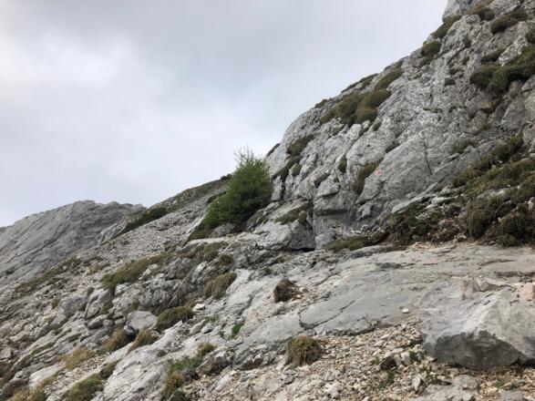 Weg über die Steinbergplatte