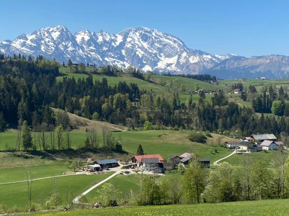 Göllblick bei Auffahrt