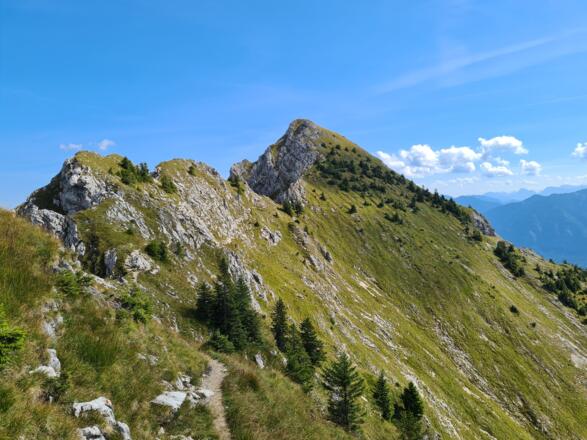 Weg beim Feigenkopf mit Gipfel der Großen Klammspitze im Hintergrund