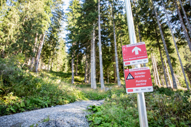 Einsame Wald- & Forststraßen, coole Trail-Passagen und ein atemberaubender Ausblick aufs Dachstein Massiv warten bei dieser Tour auf euch