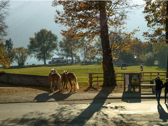 Ausblick Wohnraum auf den Schliersee