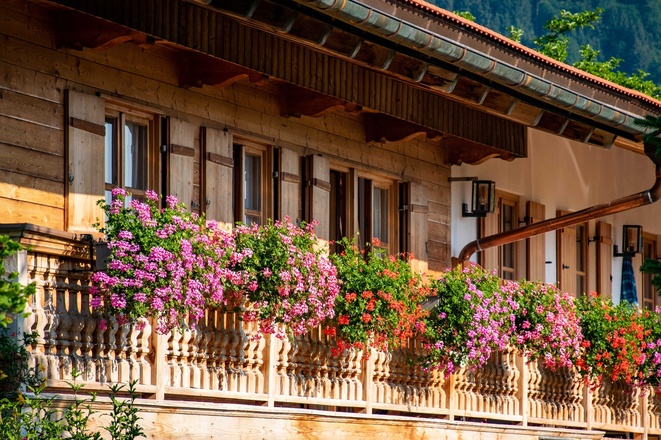 Blumenbalkon