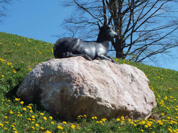 Berghotel Sudelfeld Garten