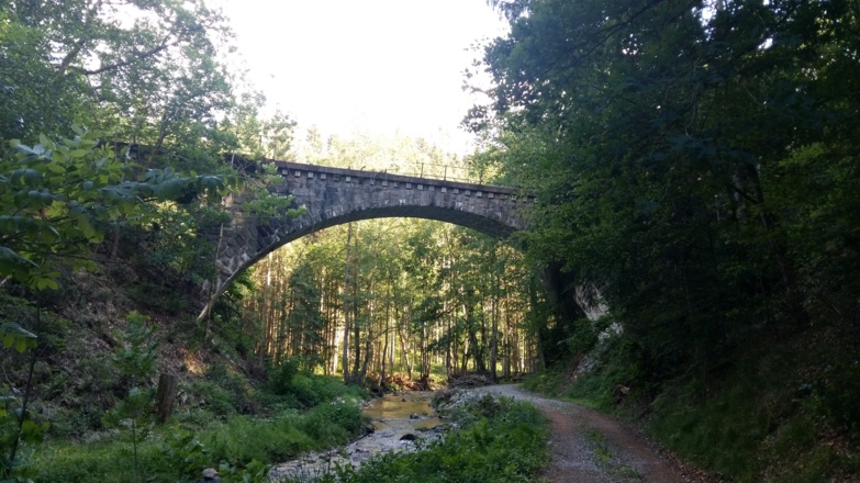 Brücke im Erlautal