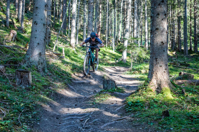 Einsame Wald- & Forststraßen, coole Trail-Passagen und ein atemberaubender Ausblick aufs Dachstein Massiv warten bei dieser Tour auf euch