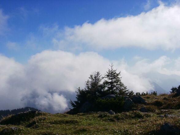 https://d1pgrp37iul3tg.cloudfront.net/objekt_pics/obj_full_97876_010.jpg