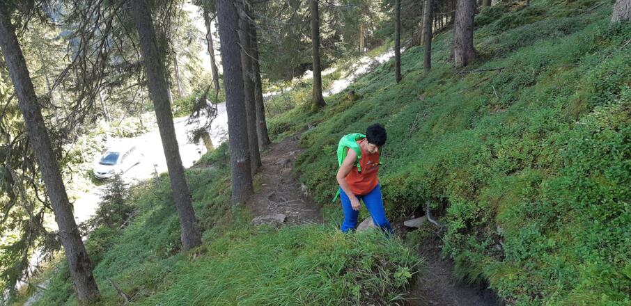 ... Forststraße, die mehrmals ...