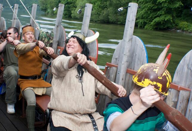 Donau Wikinger