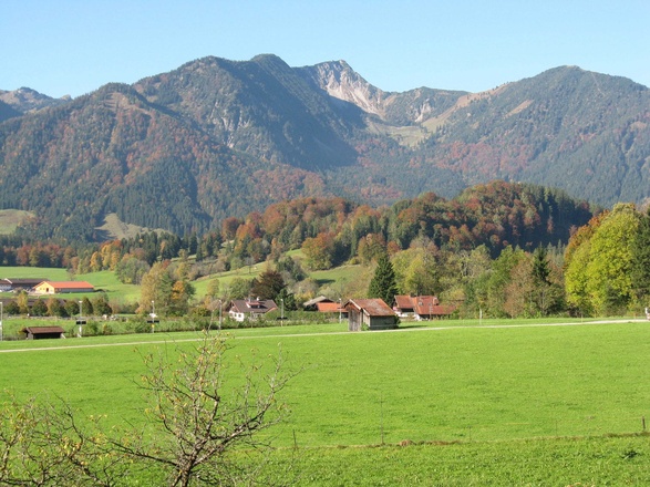 Panorama