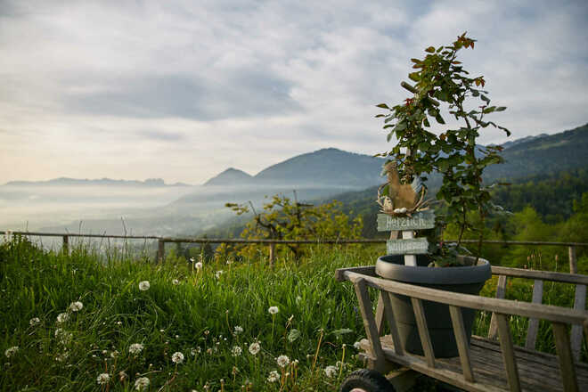 Ausblick