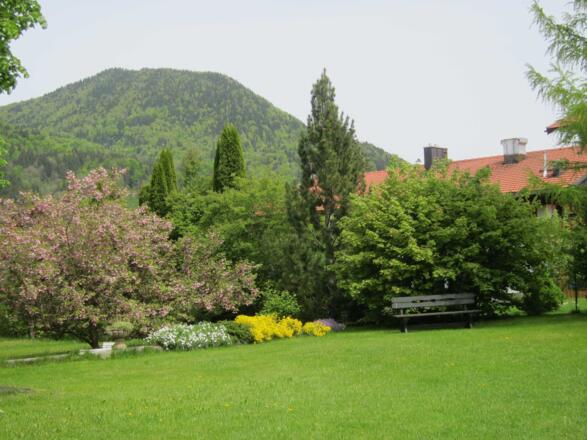Bergblick