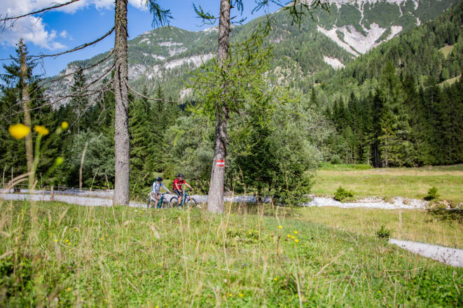 Mit dem Bike im wunderschönen Marbachtal