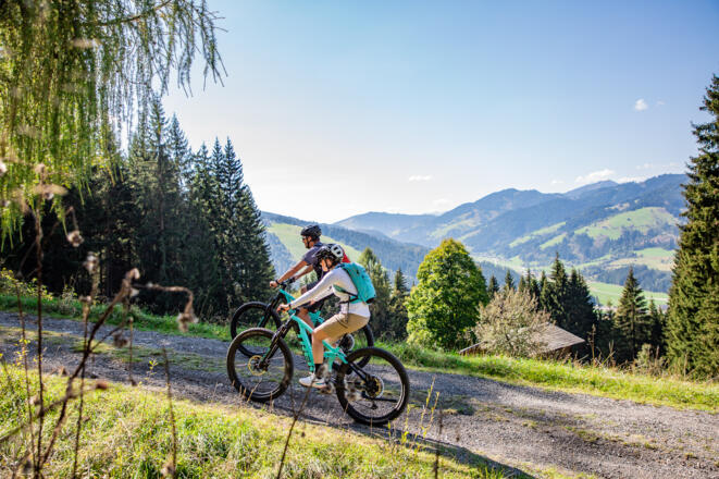 Einsame Wald- & Forststraßen, coole Trail-Passagen und ein atemberaubender Ausblick aufs Dachstein Massiv warten bei dieser Tour auf euch