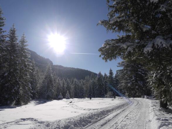 Winterspaziergänge vor der Haustüre