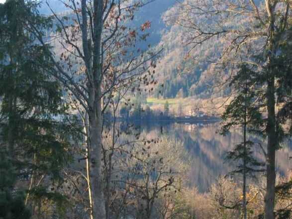 Blick zum See
